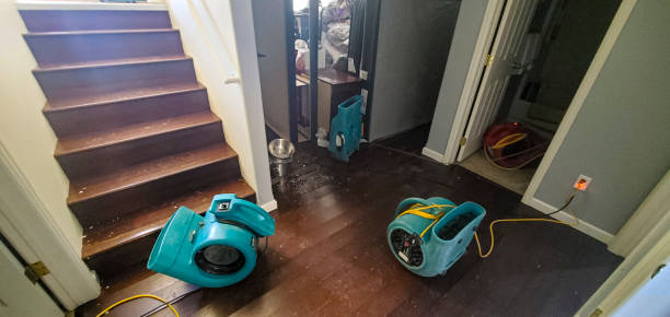 Best Ceiling water damage repair  in West Long Branch, NJ