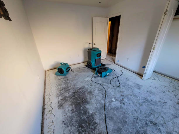 Best Residential water damage restoration  in West Long Branch, NJ