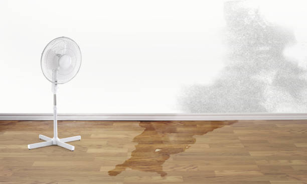 Best Water damage restoration specialists  in West Long Branch, NJ