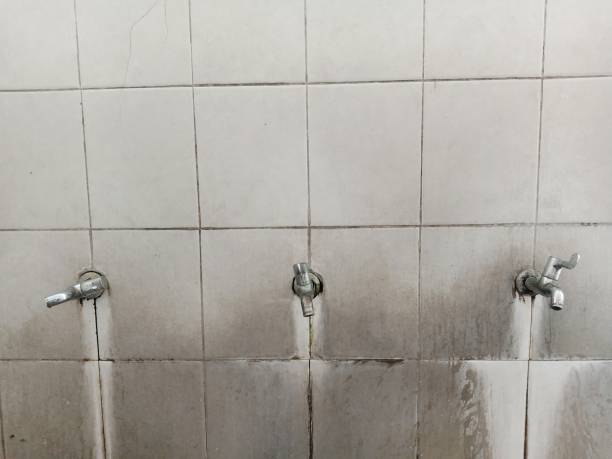  West Long Branch, NJ Water damage restoration Pros