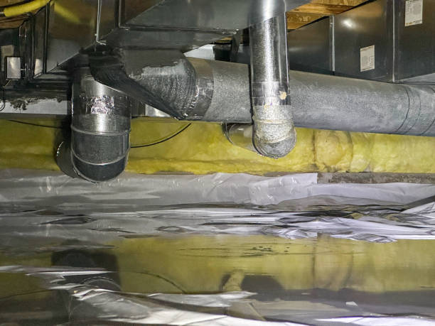 Best Flood restoration services  in West Long Branch, NJ